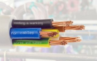 Marking.jpg