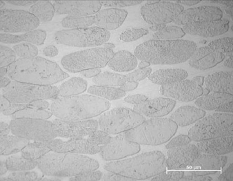 verformtes-Schwermetall.jpg