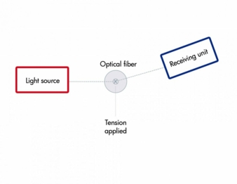 Optical-fibres.jpg